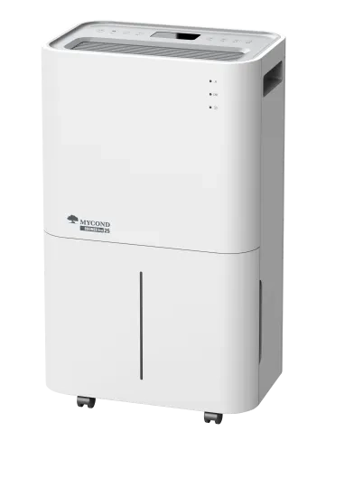 Бытовые осушители воздуха Roomer Eco 25