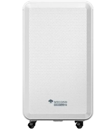 Бытовые осушители воздуха Roomer Smart 12