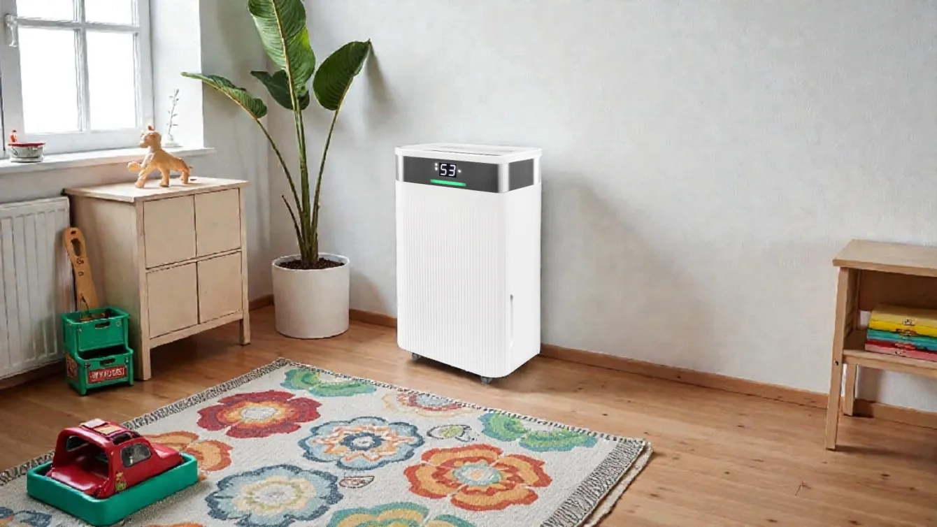 Влагопоглотитель или осушитель воздуха — что лучше для дома